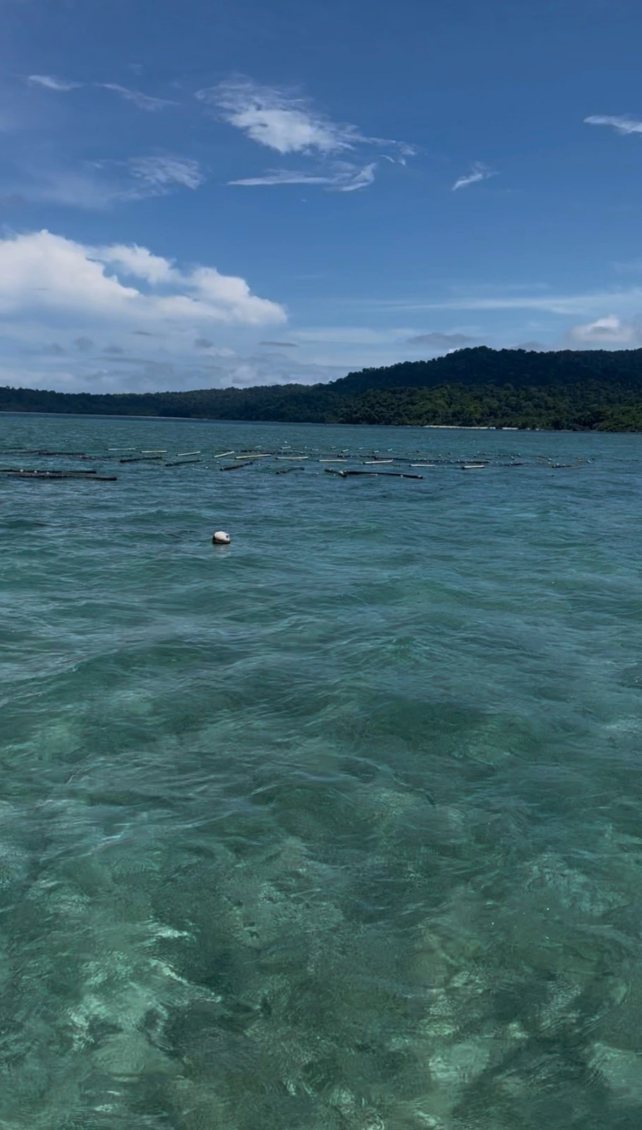 Seaweed farm lines and a small monitoring buoy in the shallow water off Chidiyatapu, South Andaman.